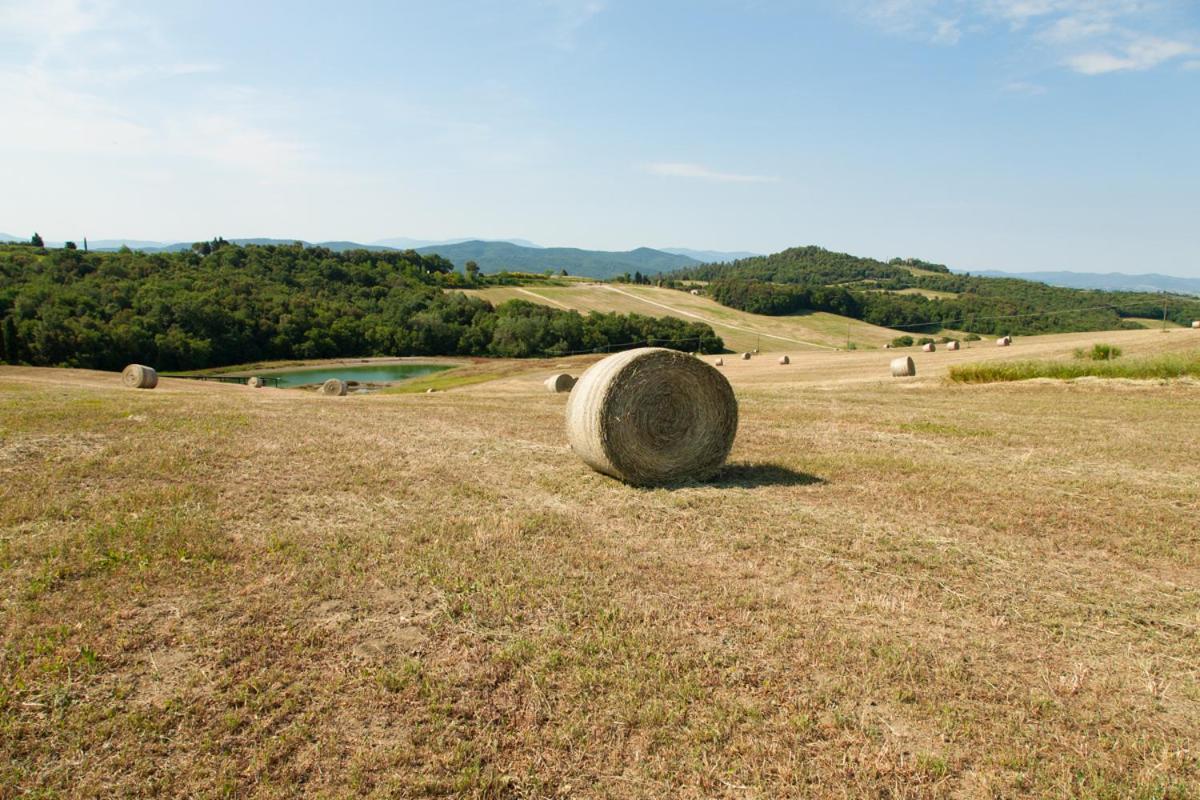 I Quattro Elementi Volterra Exterior foto